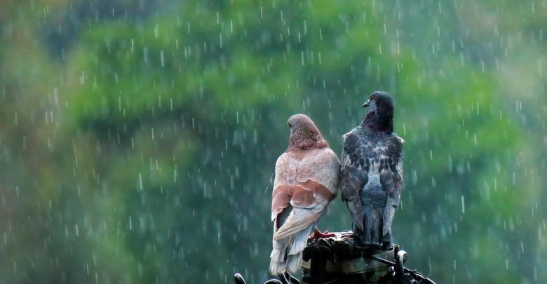Hujan-Itu Romantis